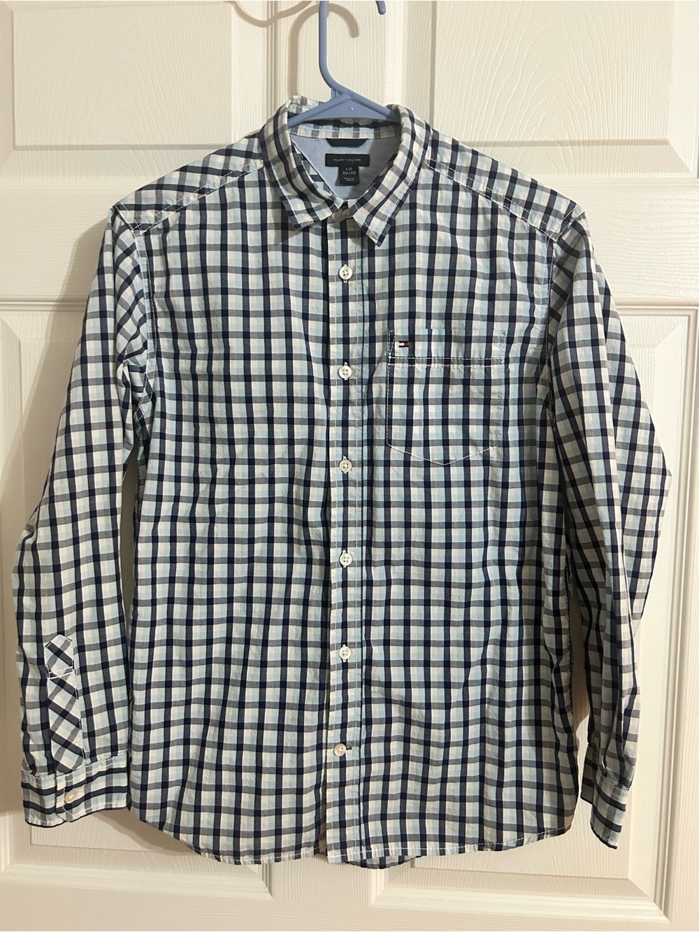 Tommy Hilfiger Blue and White Plaid Button-Down Shirt